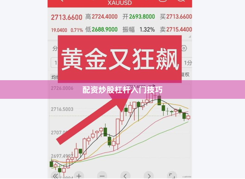 配资炒股杠杆入门技巧