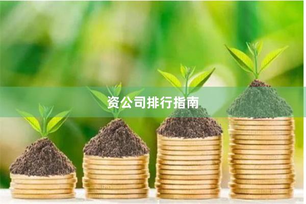 资公司排行指南